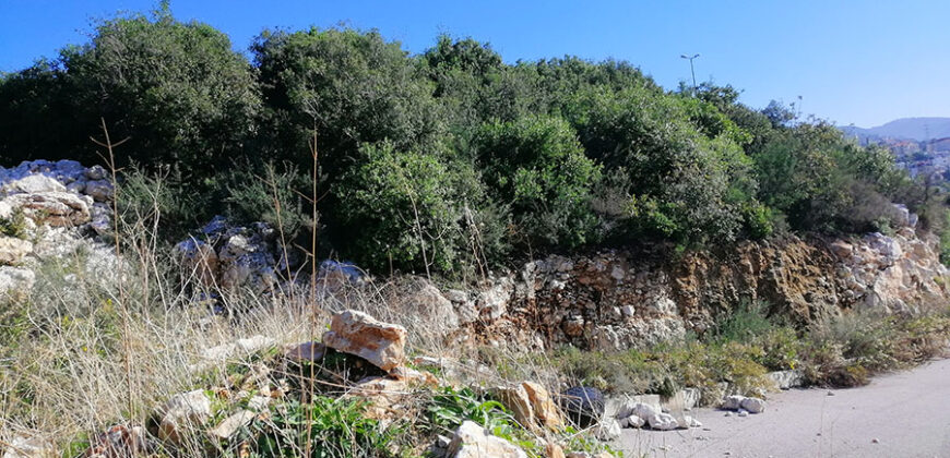 Land for sale Edde Jbeil Area 1111Sqm