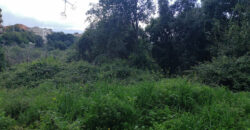 Land for Sale Aamchit Jbeil Area 1114Sqm