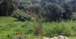 Land for Sale Aamchit Jbeil Area 1114Sqm