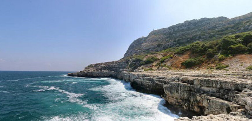 Land for Sale Hamat Batroun Area 66795Sqm