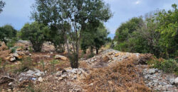 Land for Sale Monsef Jbeil Area 2400Sqm