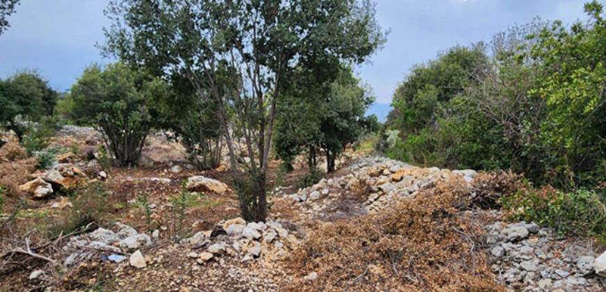 Land for Sale Monsef Jbeil Area 2400Sqm