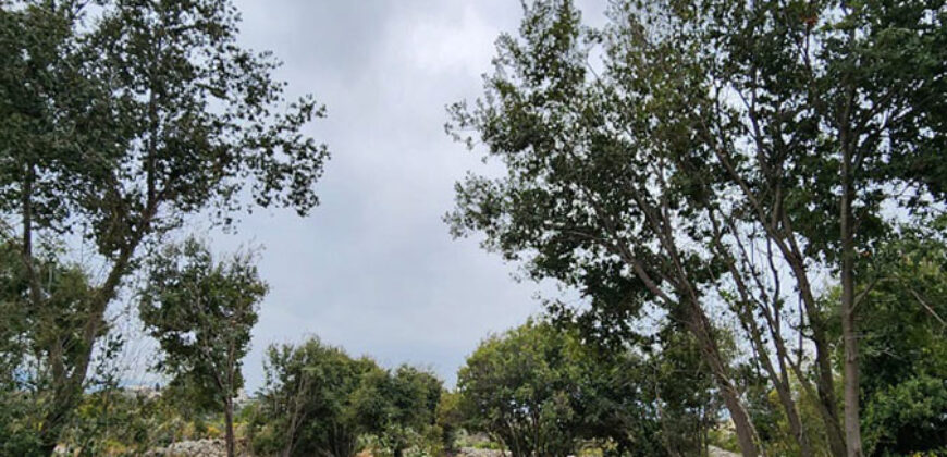 Land for Sale Monsef Jbeil Area 2400Sqm