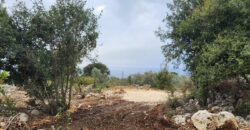Land for Sale Monsef Jbeil Area 2400Sqm