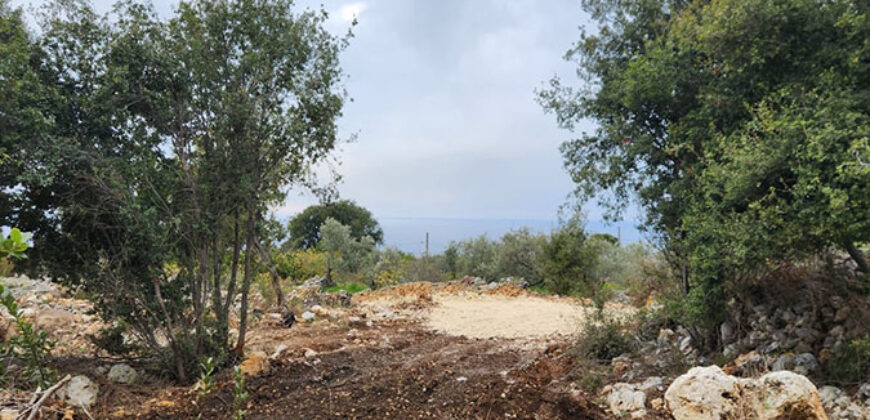 Land for Sale Monsef Jbeil Area 2400Sqm
