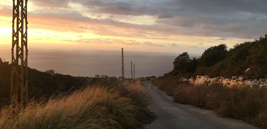 Land for sale Smar Jbeil Batroun Area 1350Sqm