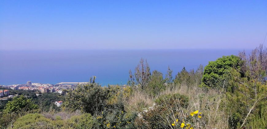 Land for Sale Fidar ( Halat ) Jbeil Area 1309Sqm