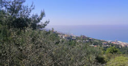 Land for Sale Fidar ( Halat ) Jbeil Area 1309Sqm