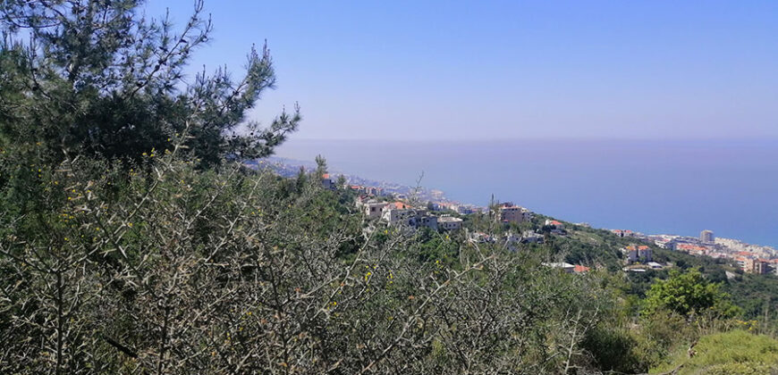 Land for Sale Fidar ( Halat ) Jbeil Area 1309Sqm