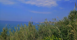 Land for Sale Fidar ( Halat ) Jbeil Area 5266Sqm