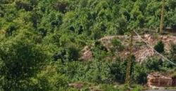 Land for Sale Deir Billa Batroun Area 750Sqm