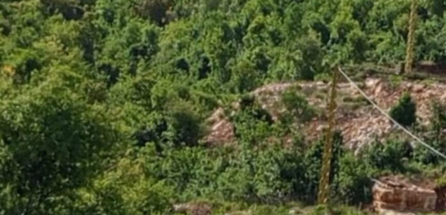 Land for Sale Deir Billa Batroun Area 750Sqm