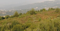 Land for Sale Deir Billa Batroun Area 699Sqm