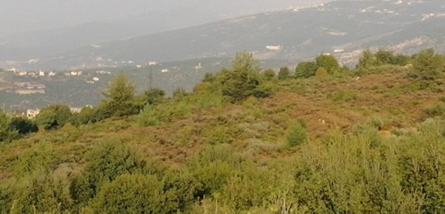 Land for Sale Deir Billa Batroun Area 699Sqm