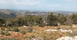 Land for Sale Deir Billa Batroun Area 699Sqm