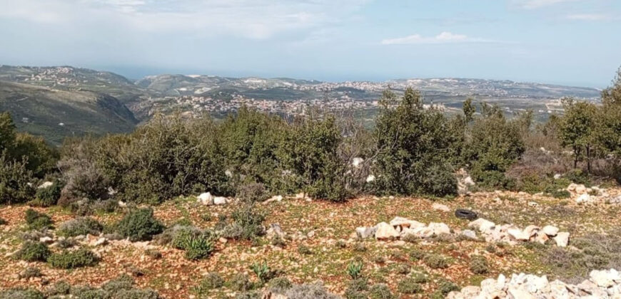 Land for Sale Deir Billa Batroun Area 699Sqm