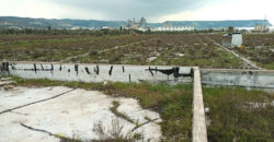 Land for Sale Aanfeh Koura Area 27746Sqm ( Industrial Land )