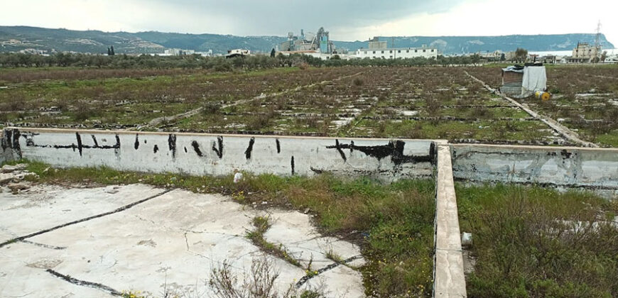 Land for Sale Aanfeh Koura Area 27746Sqm ( Industrial Land )