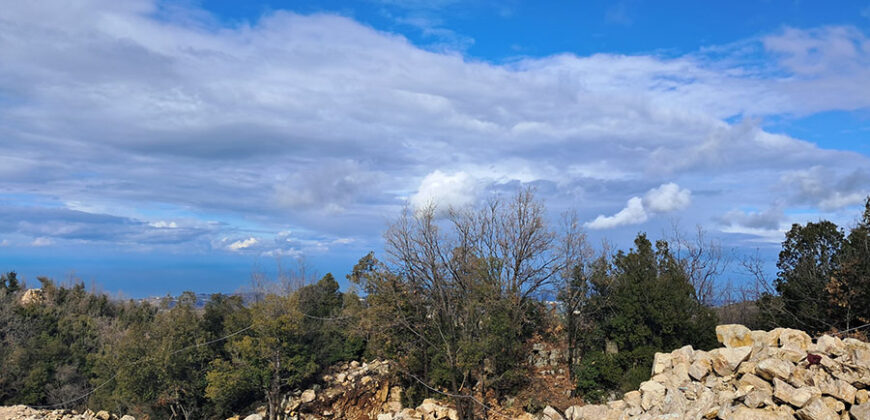 Land for Sale Mechmech Jbeil Area 1613Sqm