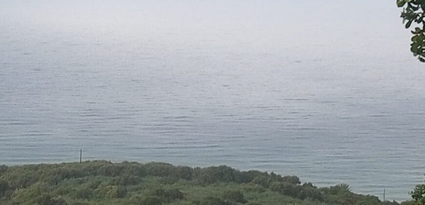 Land for Sale Rachana Batroun Area 921Sqm