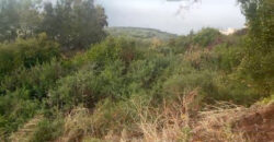 Land for Sale Rachana Batroun Area 921Sqm