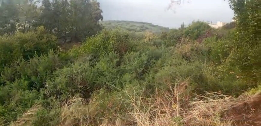 Land for Sale Rachana Batroun Area 921Sqm