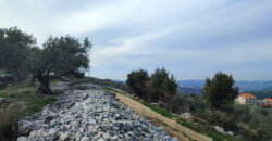Land for Sale Chabtine Batroun Area 1965Sqm
