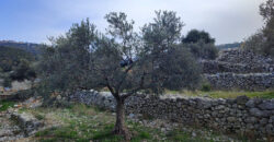 Land for Sale Chabtine Batroun Area 1965Sqm