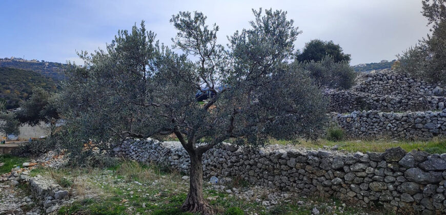 Land for Sale Chabtine Batroun Area 1965Sqm