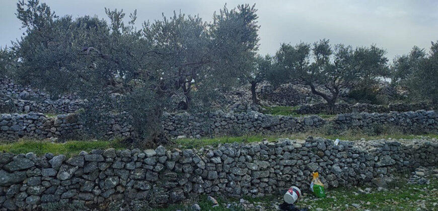 Land for Sale Chabtine Batroun Area 1965Sqm