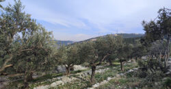 Land for Sale Chabtine Batroun Area 1965Sqm
