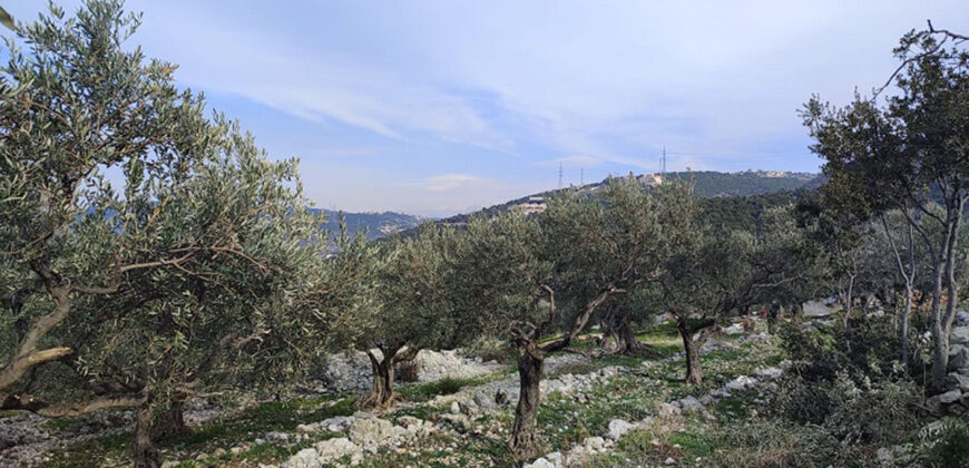 Land for Sale Chabtine Batroun Area 1965Sqm
