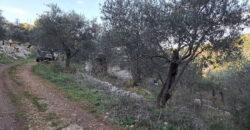 Land for Sale Sourat Batroun Area 1161Sqm
