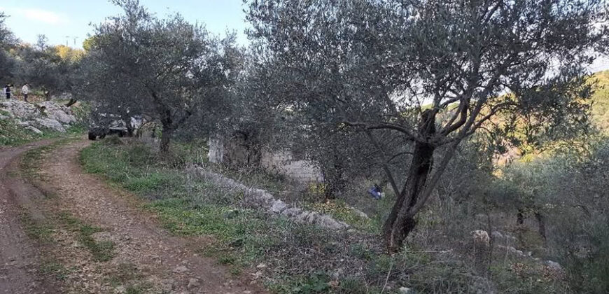 Land for Sale Sourat Batroun Area 1161Sqm