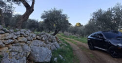 Land for Sale Sourat Batroun Area 1161Sqm