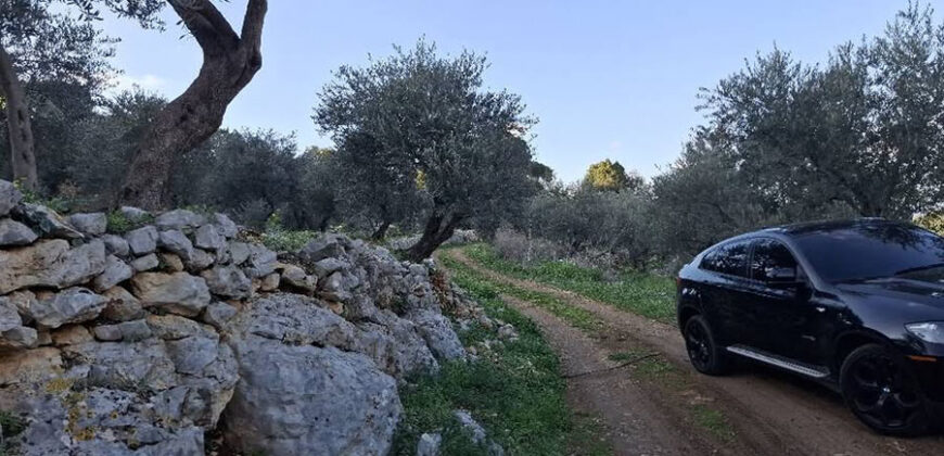 Land for Sale Sourat Batroun Area 1161Sqm