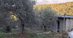 Land for Sale Sourat Batroun Area 1161Sqm