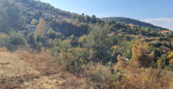Land for Sale Hardine – Beit Kassab Batroun Area 1600Sqm