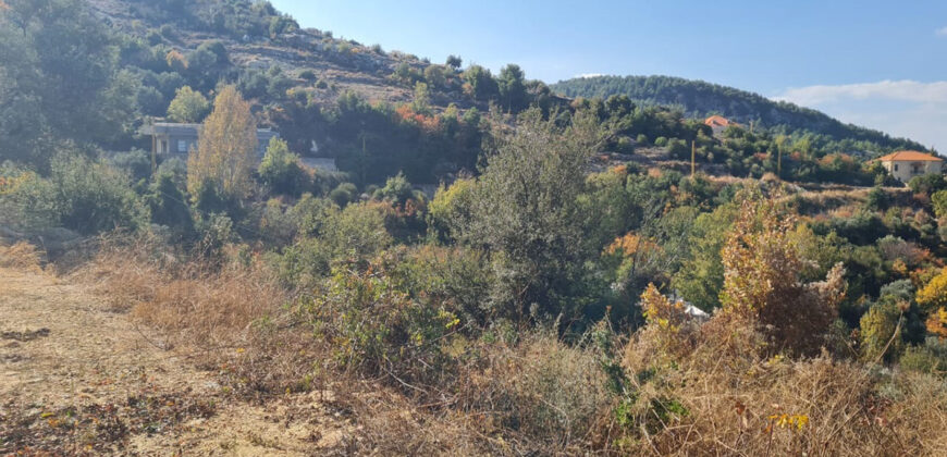 Land for Sale Hardine – Beit Kassab Batroun Area 1600Sqm
