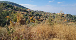 Land for Sale Hardine – Beit Kassab Batroun Area 1600Sqm