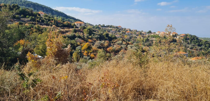 Land for Sale Hardine – Beit Kassab Batroun Area 1600Sqm