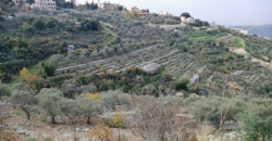 Land for Sale Bejjeh Jbeil Area 2112Sqm