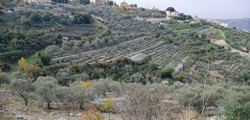 Land for Sale Bejjeh Jbeil Area 2112Sqm