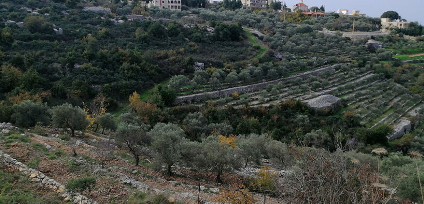 Land for Sale Bejjeh Jbeil Area 2112Sqm