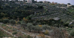 Land for Sale Bejjeh Jbeil Area 2112Sqm