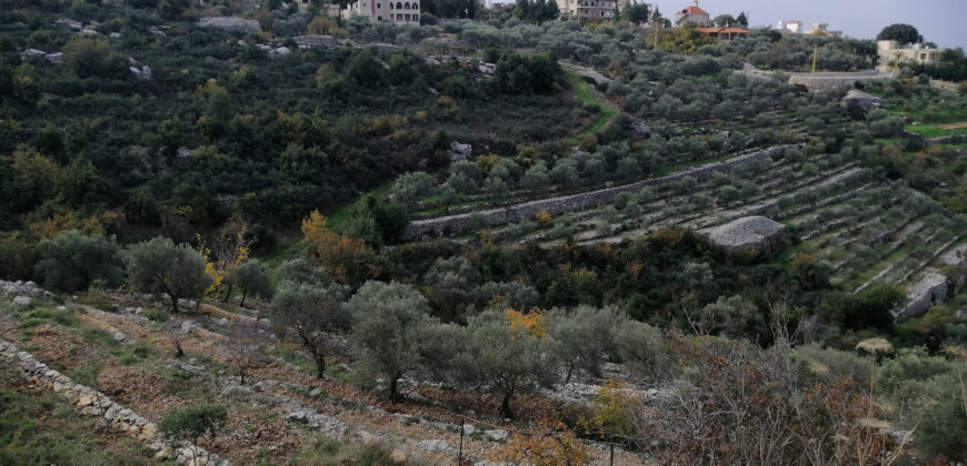 Land for Sale Bejjeh Jbeil Area 2112Sqm