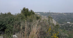 Land for Sale Bejjeh Jbeil Area 10600sqm