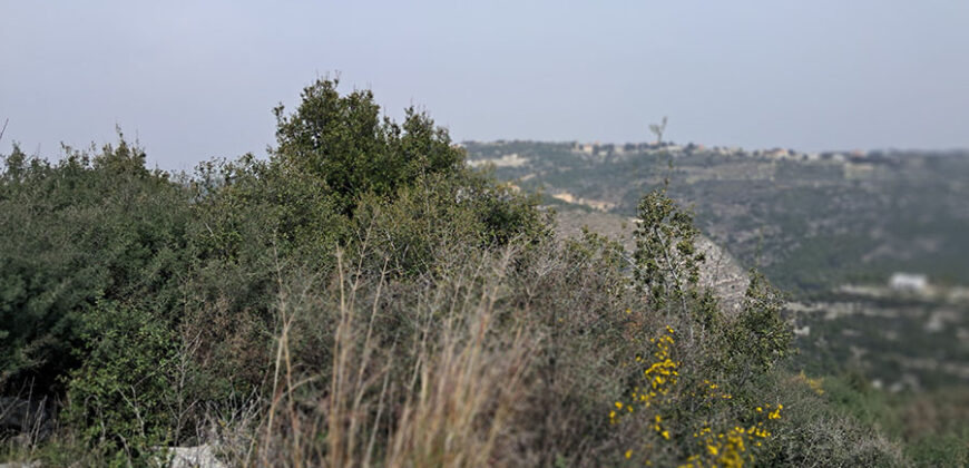 Land for Sale Bejjeh Jbeil Area 10600sqm