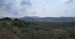 Land for Sale Bejjeh Jbeil Area 10600sqm