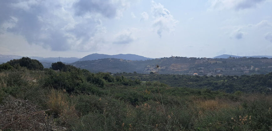 Land for Sale Bejjeh Jbeil Area 10600sqm